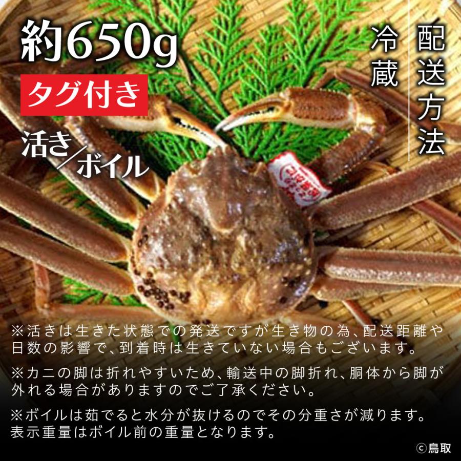 松葉ガニ ギフト 活 ボイル タグ付き 約650g 1枚 姿 ズワイガニ かに カニ 松葉蟹 生きたまま 松葉がに 産地直送 鳥取 送料無料（北海道・沖縄を除く）