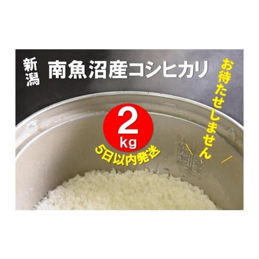 ふるさと納税 新潟県 南魚沼市 南魚沼産コシヒカリ　うちやま農園のお米  2kg