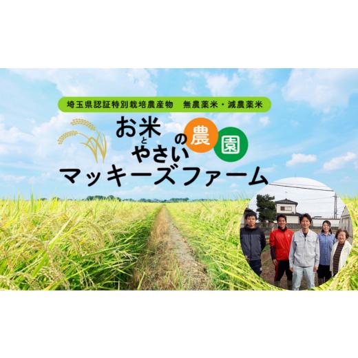 ふるさと納税 埼玉県 東松山市 農家の手作り玄米切り餅 200g × 2袋 計400g（マンゲツモチ米 埼玉県認証特別栽培米） 【 餅 モチ 切り餅 玄米餅 満月…