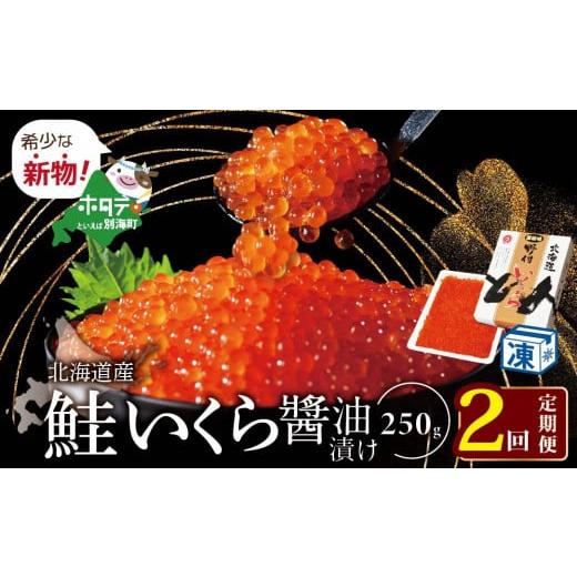 ふるさと納税 北海道 別海町 希少な新物いくら！計500g 2ヵ月 定期便 漁協 直送！本場「北海道」 いくら 醤油漬け（ 定期便 海鮮…