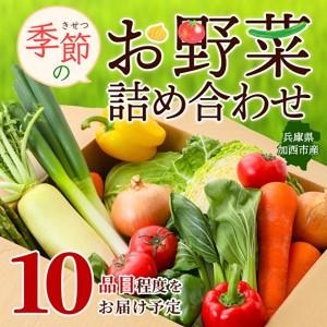 ふるさと納税 野菜セット 加西市産 季節の野菜詰め合わせセット 季節の野菜10品程度 兵庫県加西市