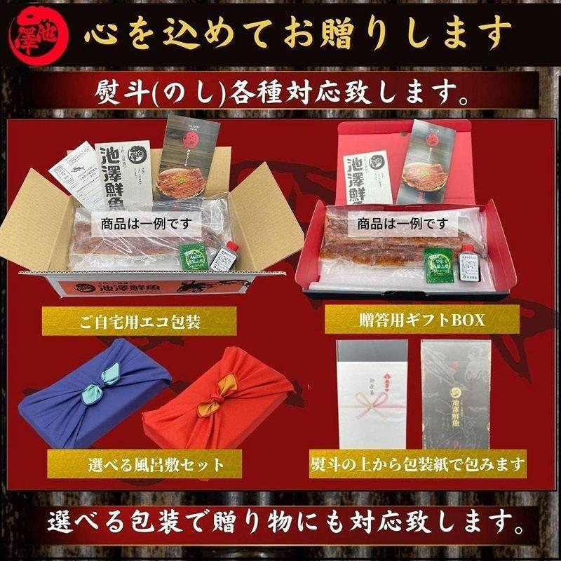 四万十川産 うなぎ 蒲焼き 無投薬 約150g×1尾 池澤鮮魚 誕生日 国産 (贈答用ギフト包装)