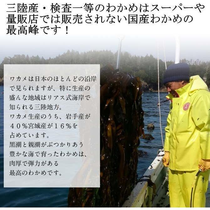 三陸わかめ 検査一等１５０g_送料無料 肉厚刺身わかめ ぽっきり 母の日 父の日 ポイント消化 得トクセール