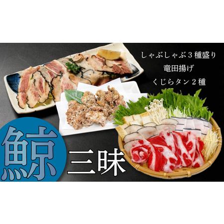 ふるさと納税 くじら 三昧 しゃぶしゃぶ 竜田 揚げ 鯨肉 タン 舌 皮 鍋 だし 冷凍 鯨 クジラ 山賀 下関 山口  AS153 鯨 下関鯨 鯨肉 鯨の名産.. 山口県下関市