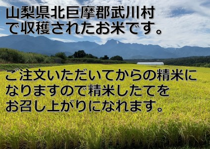 山梨県産武川コシヒカリ 精米20㎏(10㎏×2袋)