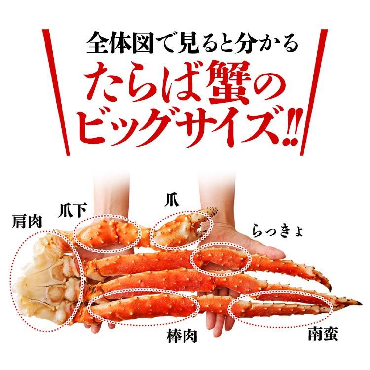 タラバガニ たらばがに 極太カット済み ボイル 800g 送料無料 かに カニ 蟹 グルメ 食品 お歳暮 ギフト 10%クーポン