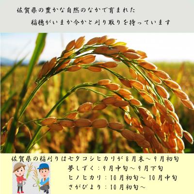 ふるさと納税 嬉野市 佐賀県産銘柄米3合(450g)9個セット(さがびより・夢しずく・ヒノヒカリ)