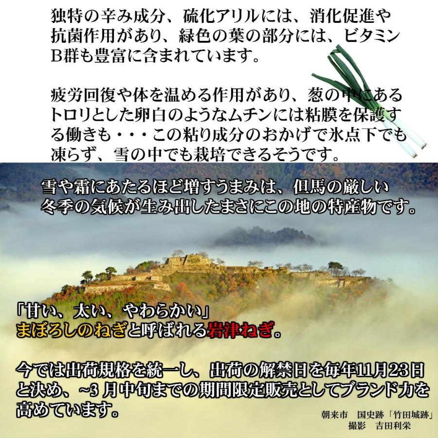 岩津ねぎ焼ねぎなめ茸380g×３本 瓶詰めお取り寄せ ごはんの友 兵庫但馬みやげ 手土産