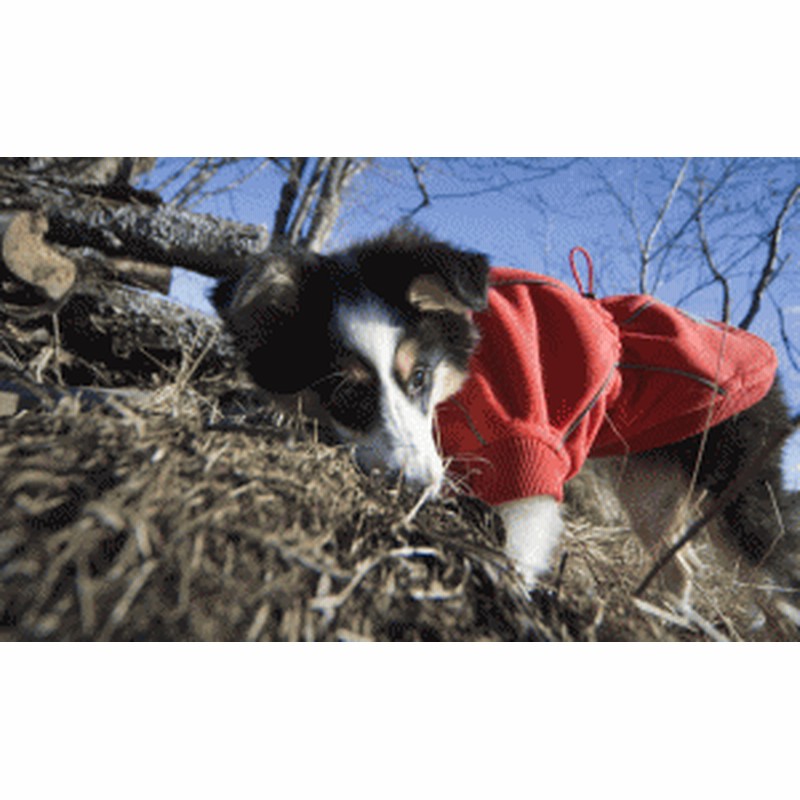 フィンランドのドッグブランド Hurtta フルッタ フリースジャケット Waterproof Fleece Jacket 中 大型犬用 通販 Lineポイント最大1 0 Get Lineショッピング