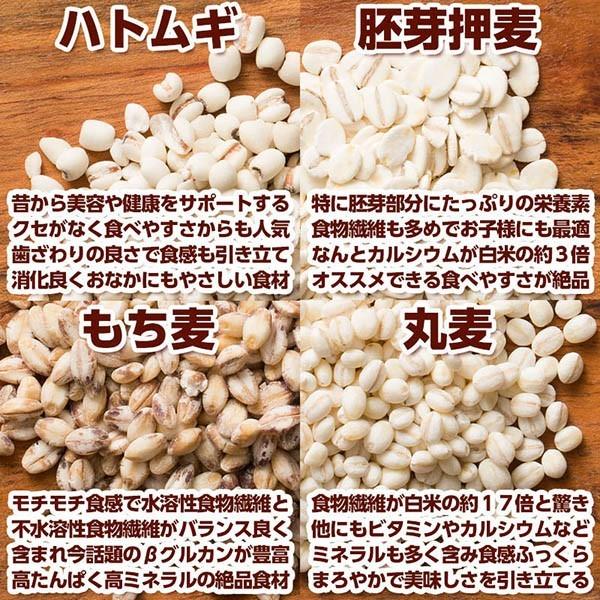 雑穀 雑穀米 国産 栄養満点23穀米 27kg(450g×60袋) 送料無料 国内産 もち麦 黒米 ダイエット食品 雑穀米本舗 ＼セール／