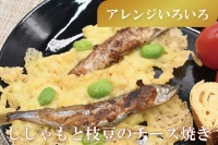  子持ち カラフトシシャモ ２kg (500g×4袋) 訳アリ シシャモ ししゃも カラフトししゃも 大洗 規格外 訳あり わけあり 傷 ヤマイシ アイスランド産