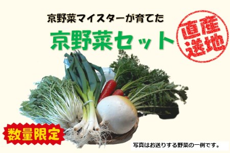 先行予約京野菜セット ＜数量限定＞