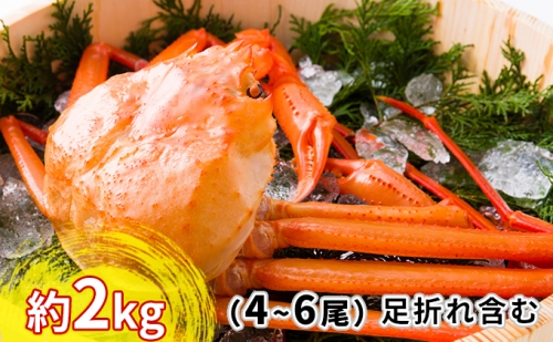 紅ズワイガニ約2kg（4～6尾）