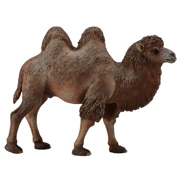 COLLECTA 野生動物系列 模型 雙峰駱駝  棕色  雙峰駱駝 棕色  1個