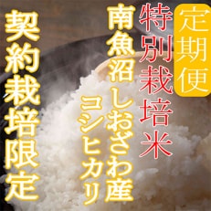 ※特別栽培米4Kg※生産者限定 南魚沼しおざわ産コシヒカリ 全6回