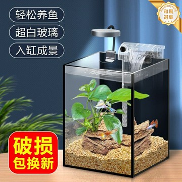 【懶人新手必備】桌面小魚缸 超白玻璃魚缸 水草缸 生態缸 造景缸 迷你缸 辦公室桌面擺件 客廳裝飾 免換水生態循環