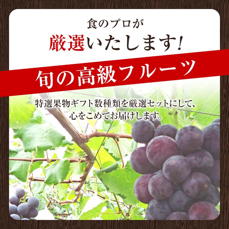 果物ギフト 新企画 フルーツセット 食の宝石箱厳選旬のフルーツ5種セット  お中元 父の日 旬の果物 可愛い手提げ箱 御中元 化粧箱