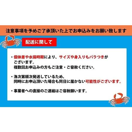 ふるさと納税 高志の紅ガニ1kg以上（孫七タグ付） 富山県射水市