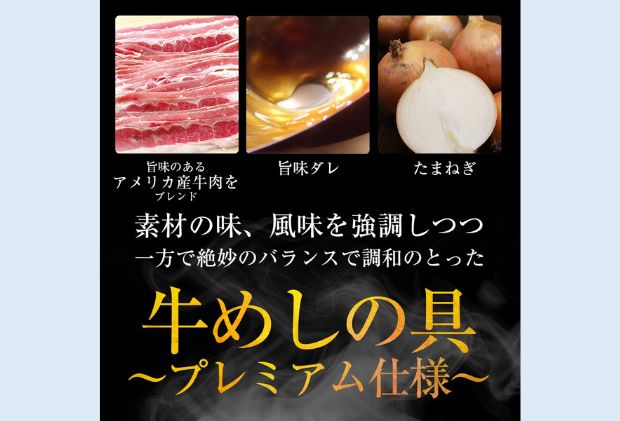 牛丼 松屋 乳酸菌入 プレミアム仕様 牛めしの具 20個 冷凍 セット