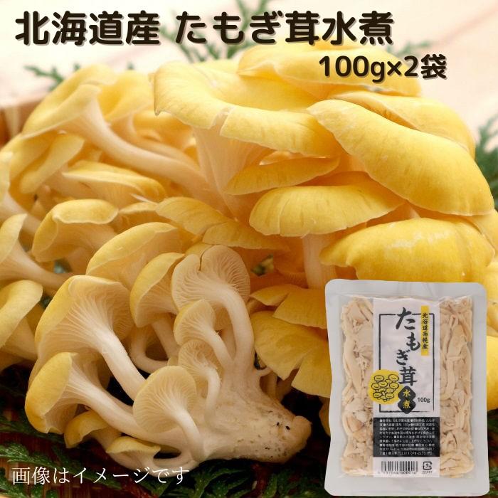 北海道産 たもぎ茸水煮 100g×2袋 送料無料  長期保存 常温 水煮きのこ きのこ 水煮 水煮野菜 野菜  ご当地 たもぎ たもぎ茸 タモギタケ たもぎたけ