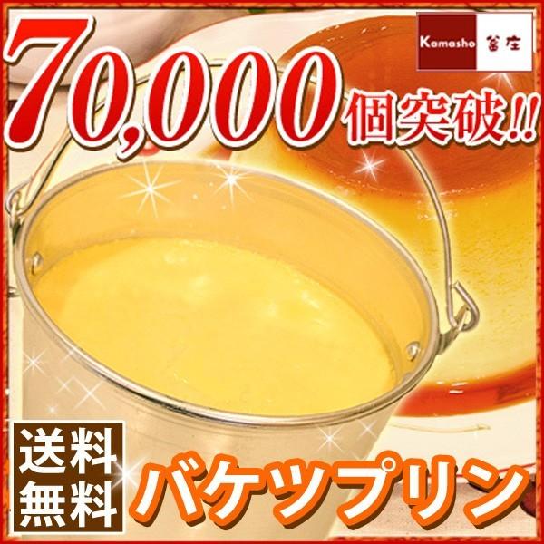 アリス バケツプリン 1リットル 誕生日プレゼント 女性 母 子供 プリン 誕生日 プレゼント お祝い お礼 スイーツ 敬老の日 プレゼント ギフト  80代 70代 祖母 通販 LINEポイント最大0.5%GET LINEショッピング