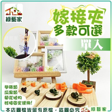 【綠藝家】多款嫁接夾系列-橘色、棕色、綠色(迷你、小、中-單入)// 固定夾 嫁接夾 蘭花夾
