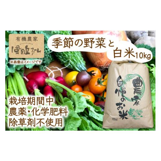 ふるさと納税 埼玉県 小川町 有機農家の季節の野菜と白米10kgのセット   風の丘ファーム   埼玉県 小川町 [020] 野菜 やさい…