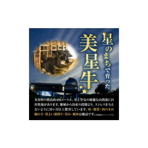 ふるさと納税 岡山県 浅口市 ステーキ 美星牛 食べ比べセット 1kg 美星ミート《90日以内に発送予定(土日祝除く)》岡山県 浅口市 ステーキ肉 牛肉 牛 厳選 霜降…