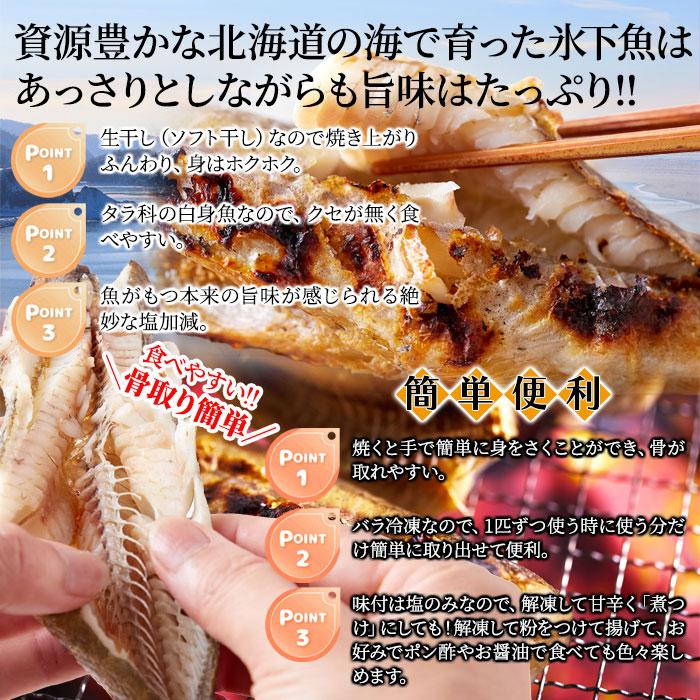 生干し氷下魚(こまい) 1kg 北海道本場の味 クセがなく身がホクホクで食べやすい 北海道のソウルフードの氷下魚(こまい)を1kgお届けします