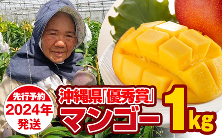 芳醇な香り　とろける食感　沖縄県「優秀賞」マンゴー1kg