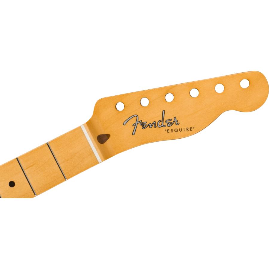 Fender フェンダー ギター用リプレイスメントネック s Esquire Neck, Vintage Frets, 7.25