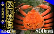 1.松葉ガニ（ボイル）大1枚　約800ｇ※着日指定不可※北海道、沖縄、一部離島への配送不可《ずわいがに　かに　カニ　蟹》