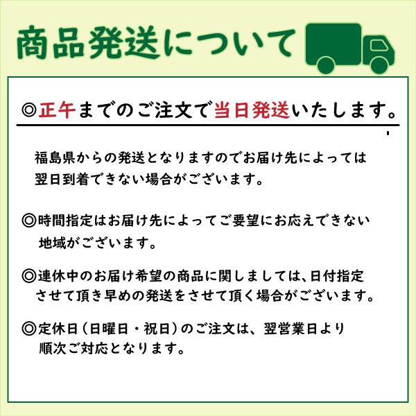 ひとめぼれ 新米 お米 白米27kg 9kg×3袋 小分け対応 令和5年産 福島県中通り産 クーポン獲得ご利用で10％OFF ふくしまプライド。体感キャンペーン（お米）