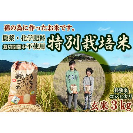 ふるさと納税 孫のために作りました！田代農園の『特別栽培米』 玄米 ３kg　[0010-0159] 千葉県鴨川市
