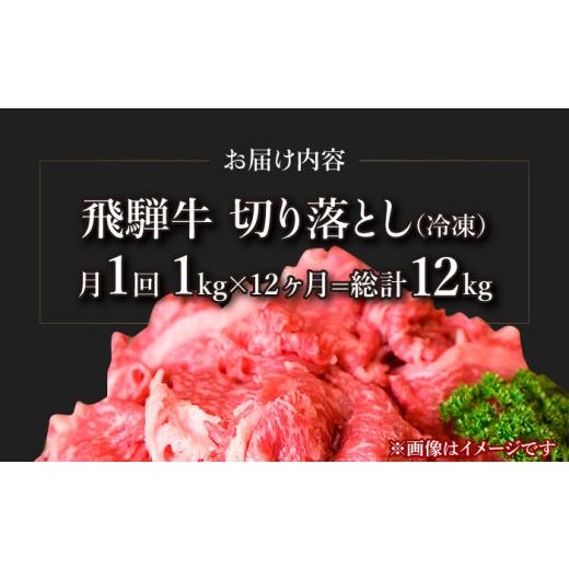 ふるさと納税 岐阜県 多治見市  切り落とし 1kg × 12回 計 12kg )≪多治見市≫ 和牛 ブランド牛 国産 [TAZ017]