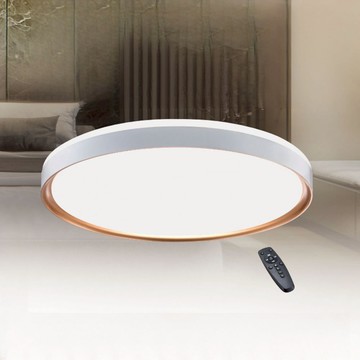 72W遙控吸頂燈 B261-64-72846