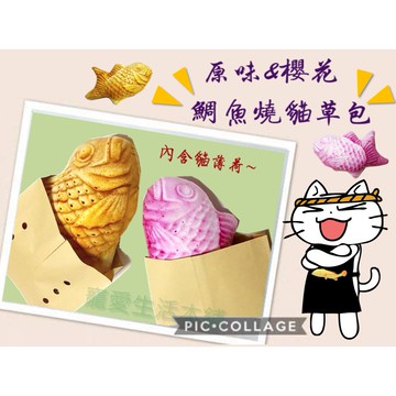 【寵愛生活本舖】仿真鯛魚燒貓草包 原味 櫻花 貓草玩具 貓薄荷 抱枕 貓咪絨毛玩具