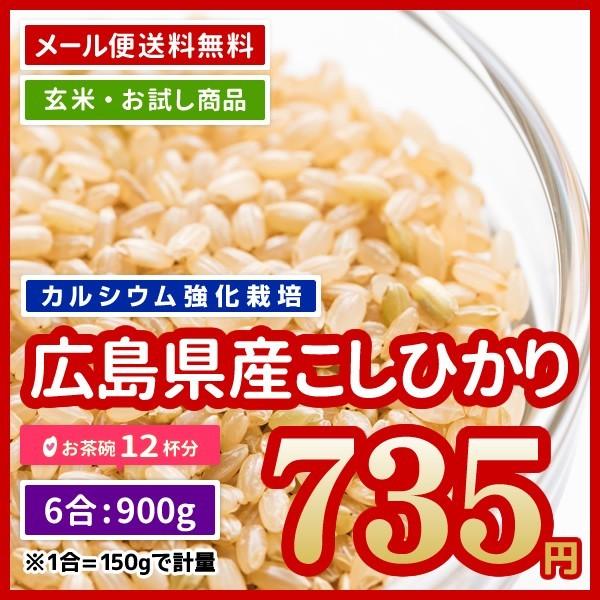 玄米 送料無料 お試し 米 お米 広島県産 カルゲン米 コシヒカリ 900g （450g× 2） ポイント消化 令和5年産 ※ゆうパケット日時指定・代引不可