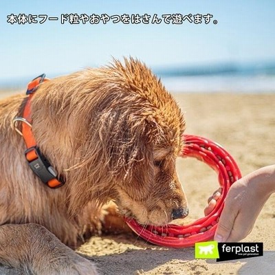 ferplast 犬 おもちゃ ドッグデンタルトイ スマイル L トイ 玩具