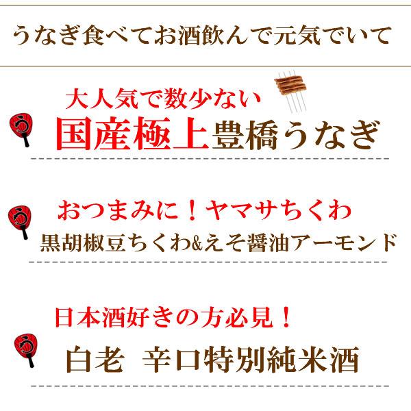 うなぎ 鰻 ギフト プレゼント 極上豊橋うなぎ＆白老辛口純米酒＆おつまみセット :送料無料