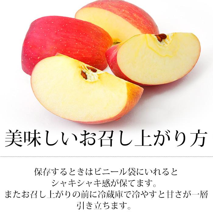 りんご 青森県産 高糖度サンふじ 約5kg 18〜20玉 糖度14度以上