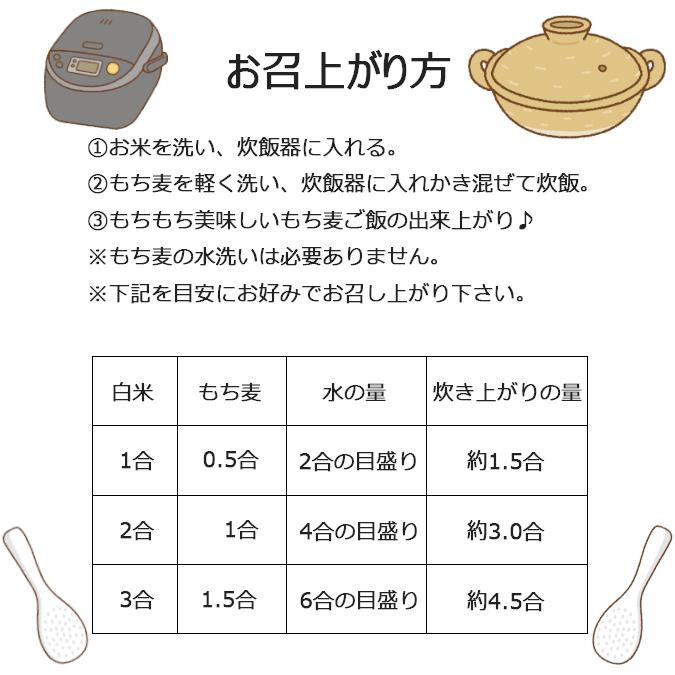 アグリ宮荘　キラリモチ　もち麦　お試し　800g　400g×2袋　ポイント消化 メール便