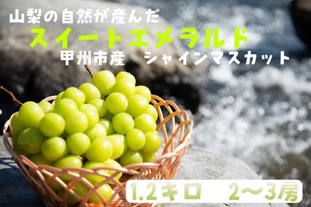 山梨の自然が産んだスイートエメラルド 甲州市産シャインマスカット1.2kg 2～3房（UD）B-865