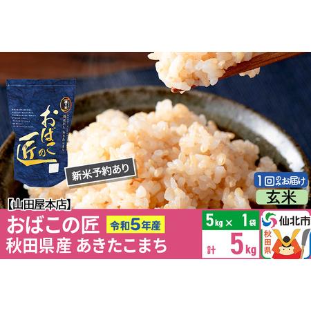 ふるさと納税 令和5年産 仙北市産 新米予約 おばこの匠 5kg 秋田県産あきたこまち 秋田こまち 秋田県仙北市