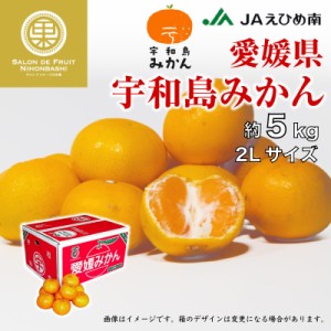 [予約 2024年1月1日必着] 宇和島みかん 2Lサイズ 約4.5kg 愛媛県 産地箱 レギュラー 産地箱 お正月必着指定 お年賀 御年賀 冬ギフト