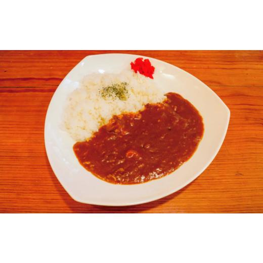 ふるさと納税 山口県 宇部市 DELICHA オリジナルカレーセット（5食入り） 簡易包装