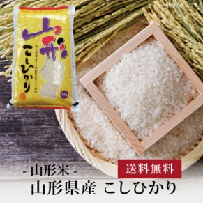 山形県産 こしひかり(５kg) ]お取り寄せ 送料無料 内祝い 出産内祝い 新築内祝い 快気祝い ギフト 贈り物