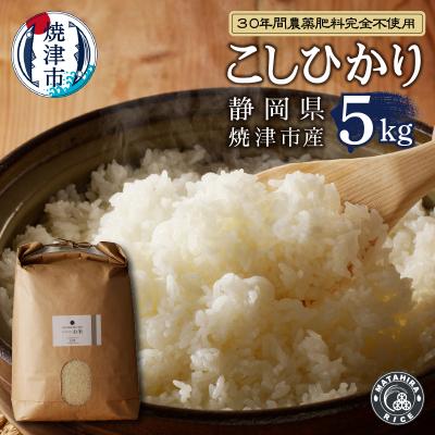 ふるさと納税 焼津市 令和5年産新米 30年間無農薬・無肥料のお米(白米)コシヒカリ5kg(a21-037)