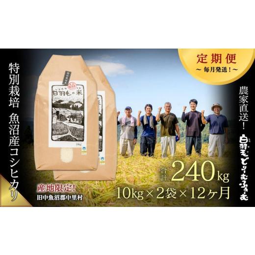 ふるさと納税 新潟県 十日町市 ≪令和5年産≫農家直送！魚沼産コシヒカリ特別栽培「白羽毛の米」精米(10kg×2袋)×12回 240kg