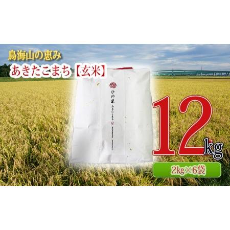 ふるさと納税 秋田県産 あきたこまち 玄米 12kg（2kg×6袋）神宿る里の米「ひの米」（お米 小分け） 秋田県にかほ市